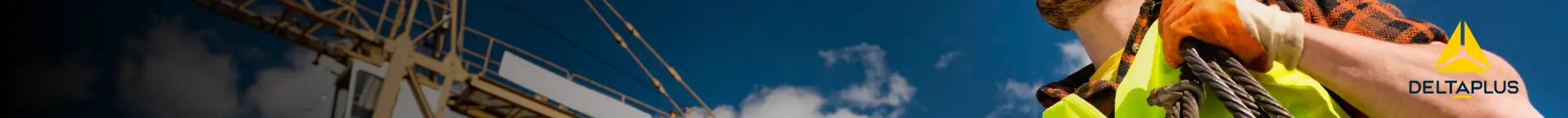 Naisa Protección Laboral