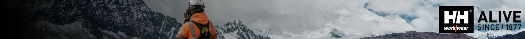 Naisa Protección Laboral