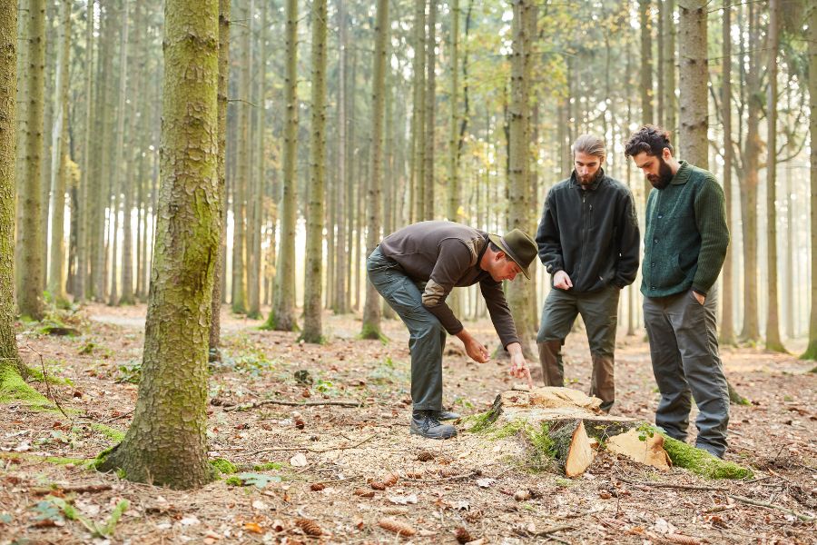 ¿Qué ropa deben utilizar los agentes forestales?