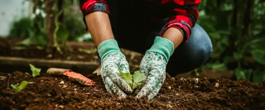 Normativas y Clasificación de Guantes de Seguridad