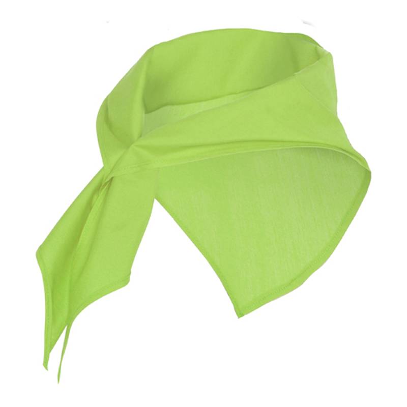 Pañuelo para cuello