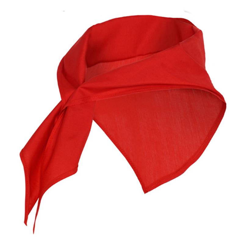 Pañuelo para cuello