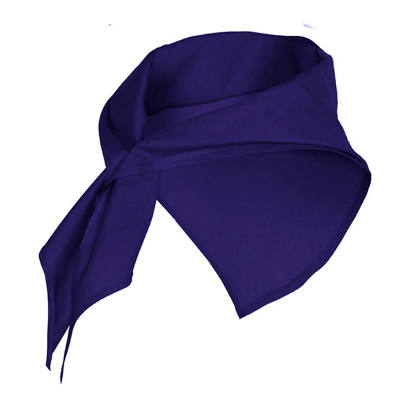 Pañuelo para cuello