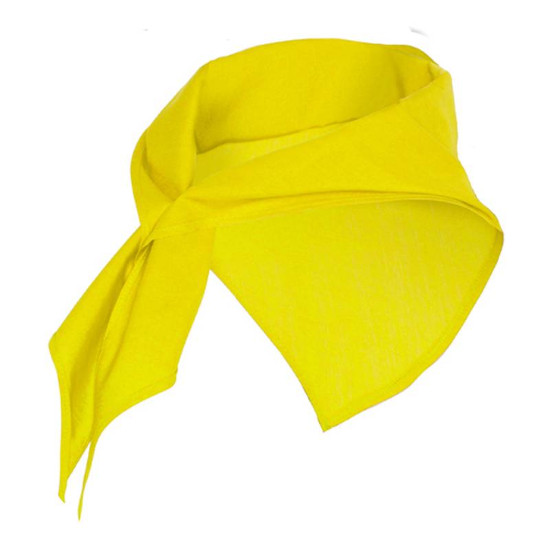 Pañuelo para cuello