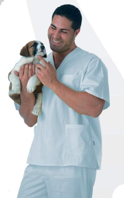 Casaca con cuello de pico - B9211