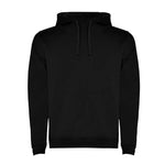 Sweatshirt com capuz bicolor