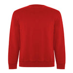 SWEATSHIRT DE ALGODÃO BIOLÓGICO COM GOLA REDONDA