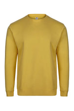 Sweatshirt AVALON com gola redonda