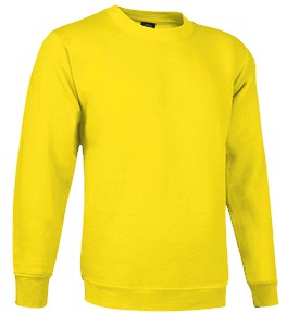 Sudadera cuello redondo para niño VADUBLIN
