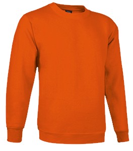 Sudadera cuello redondo para niño VADUBLIN