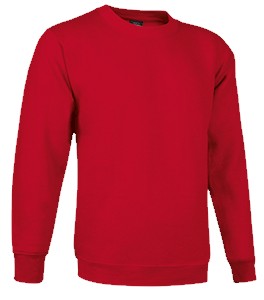 Sudadera cuello redondo para niño VADUBLIN