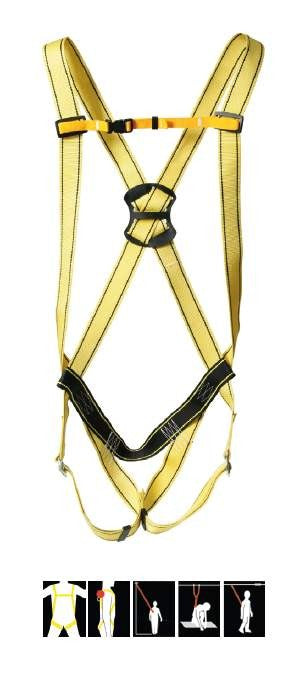 Arnés ancares - 80050