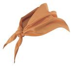 Pañuelo triangular para atar en el cuello