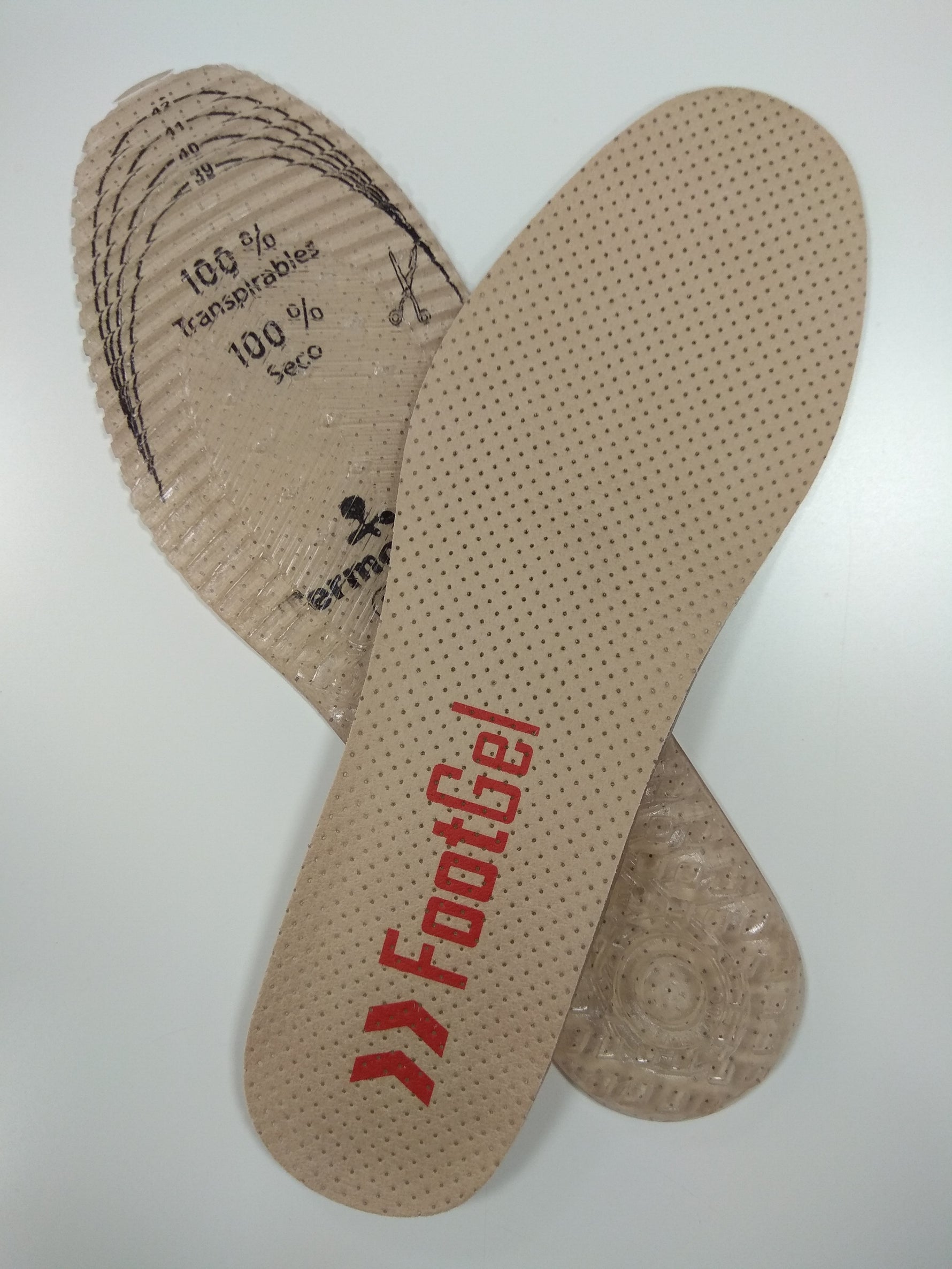 Plantilla Profesional eucalipto INY-16140