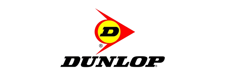 Naisa Protección Laboral