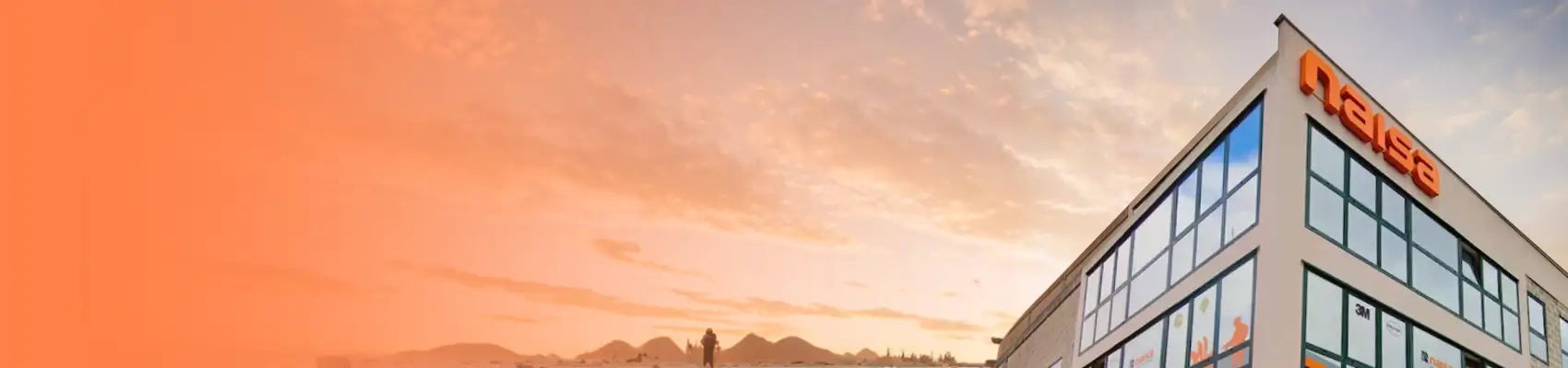 Naisa Protección Laboral