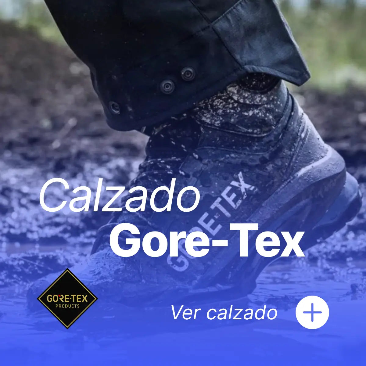 Naisa Protección Laboral