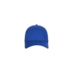 Gorra trucker 5 paneles HAMILTON CM260