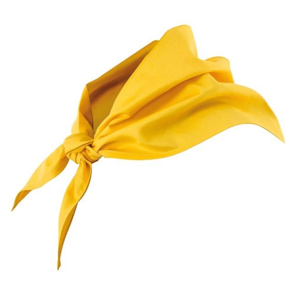 Lenço triangular Pico Velilla 404003