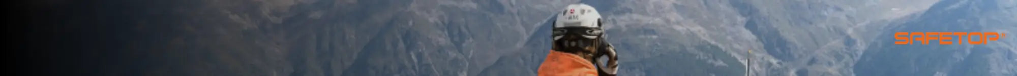 Naisa Protección Laboral