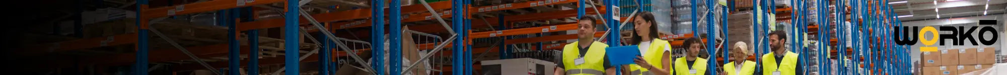 Naisa Protección Laboral